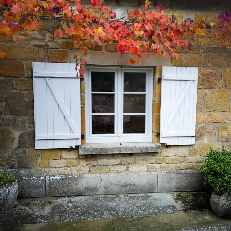 WhatsApp Image 2025-10-24 at 10.16